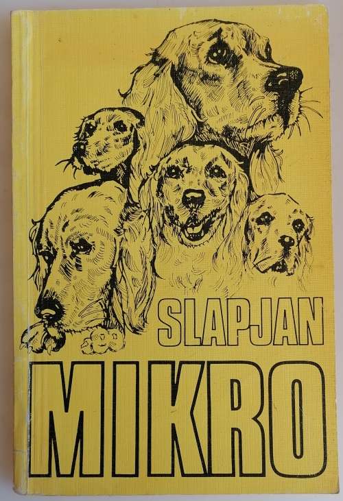 Slapjan deur Mikro