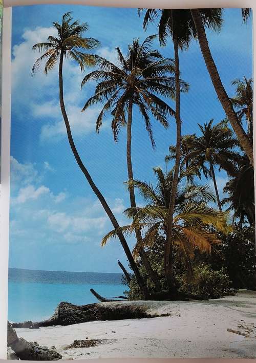 Maldives