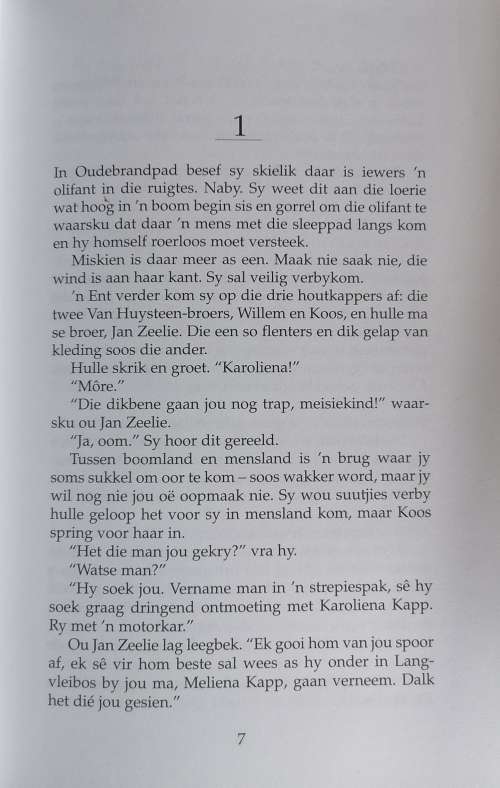 Toorbos deur Dalene Matthee