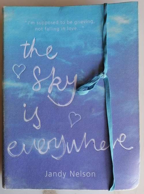 The sky is everywhere by Jandy Nelson