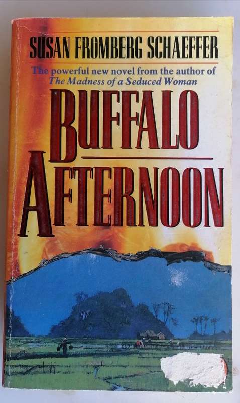 Buffalo afternoon by Susan Fromberg Schaeffer