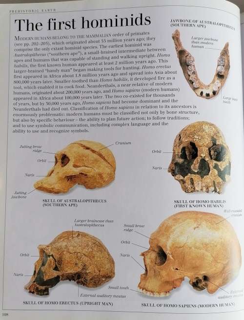 Visual dictionary