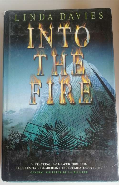 Into the fire by Linda Davies