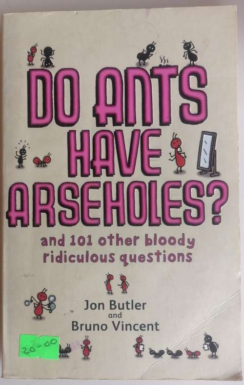 Do ants have arseholes