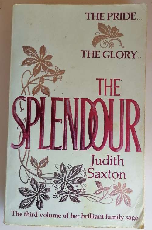 The splendour by Judith Saxton