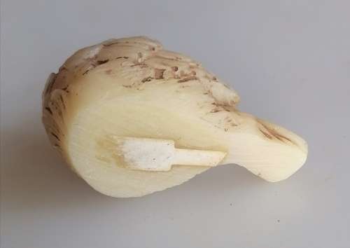 Duck ornament
