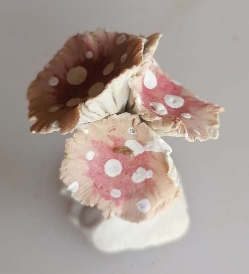 Mushroom ornament