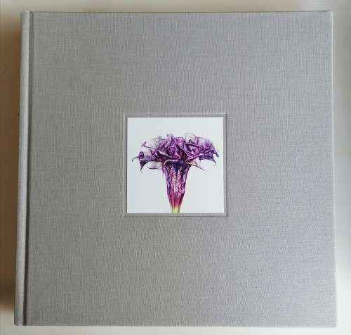 Flower by Andrew Zuckerman