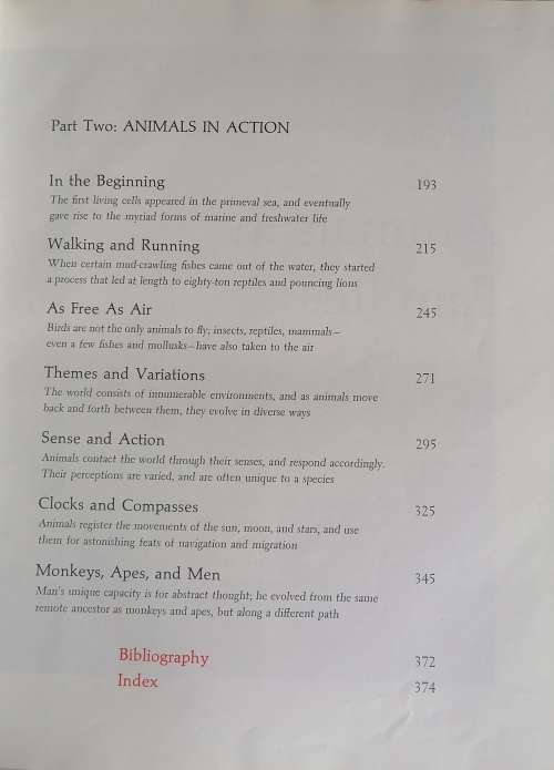 Animal families