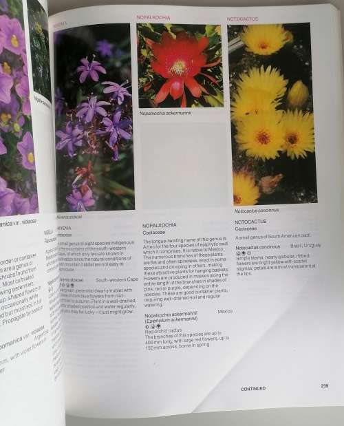 The a - z of garden flowers in South Africa by Kristo Pienaar