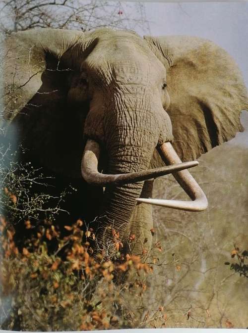 The National Parks of South Africa