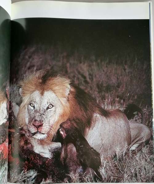 The Kruger - A supreme African wilderness by Bruce Aiken