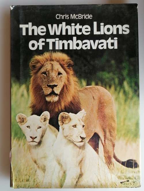 The white lions of Timbavati by Chris McBride