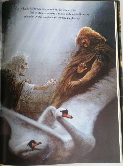 The enchanted world: Spells and bindings