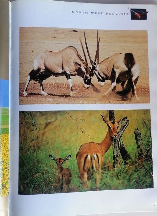 South Africa guest information
