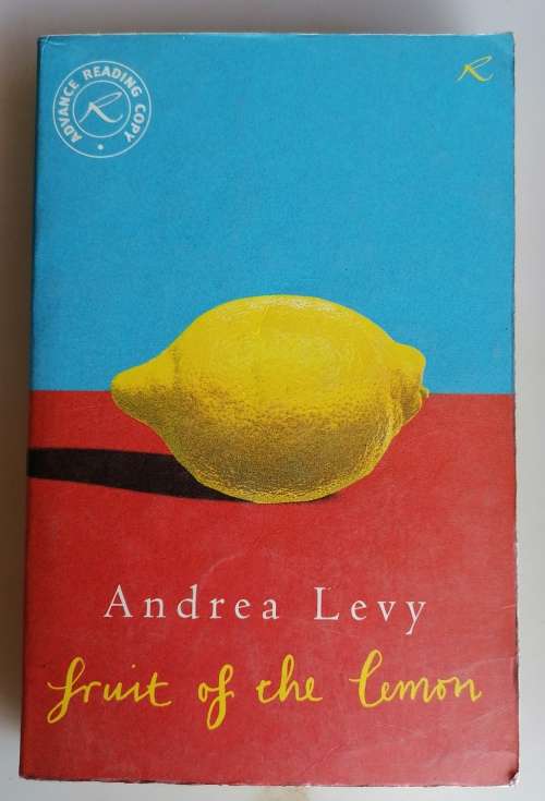 Fruit of the lemon by Andrea Levy