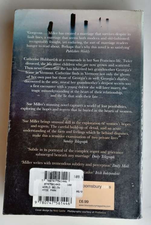 The world below by Sue Miller