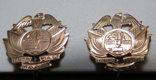 9ct GOLD~ZUID-AFRIKAANSCHE REPUBLIEK EMBLEM~EARRINGS WITH SCREW DOWN CLAMPS (MADE IN GERMANY) 4g