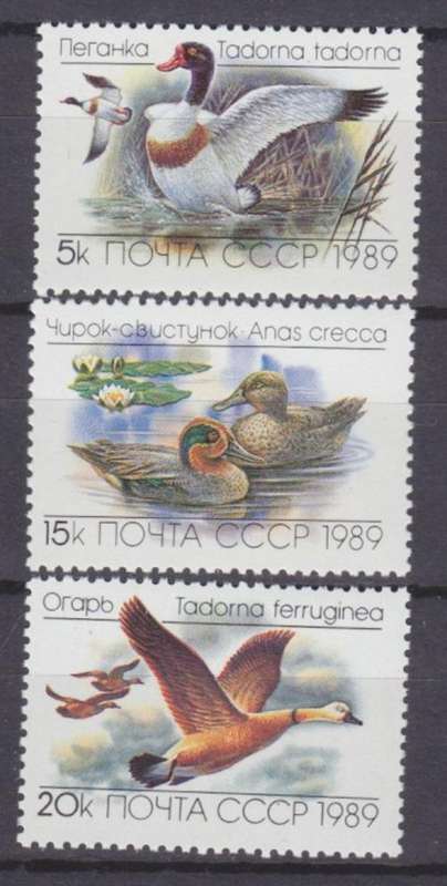 3 BEAUTIFUL THEMATIC STAMPS - BIRDS - DUCKS - RUSSIA