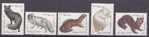 BEAUTIFUL! RUSSIA 1981 COMPLETE SET OF 5 - WILDLIFE - SCOTT.CAT.4838-4842 - MNH