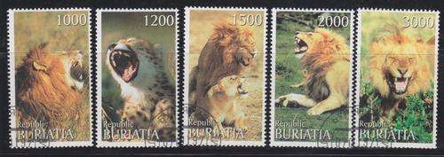 5 BEAUTIFUL THEMATIC STAMPS - THE BIG CATS - BURIATIA