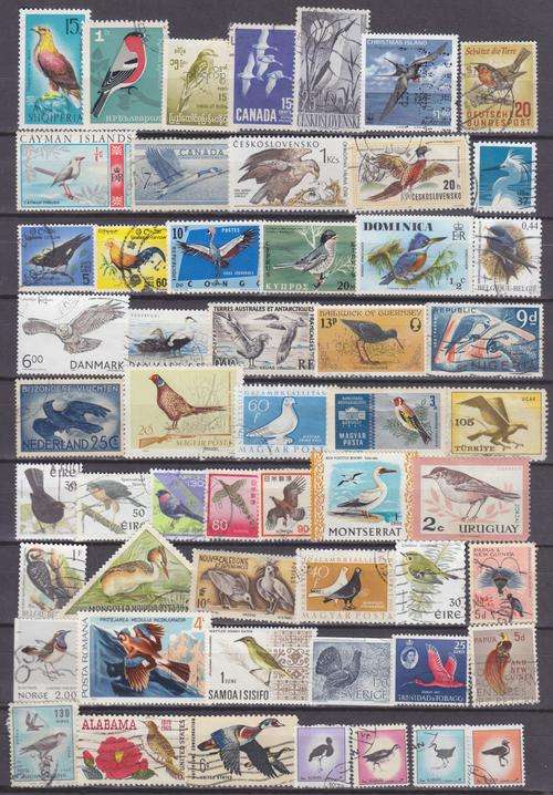 54 BEAUTIFUL THEMATIC STAMPS - BIRDS - WORLDWIDE