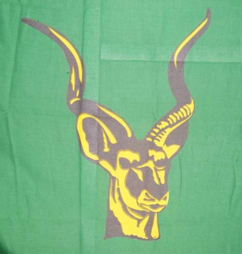 *REDUCED* Rare Bophuthatswana Defence Force Group Gopane Flag
