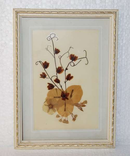 Pressed Dried Flowers in Frame @@@ CCCRRRAAAZZZYYY R1 START!!!