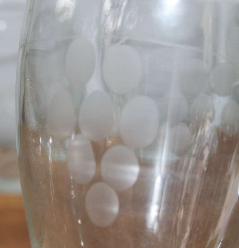Set of 6 Grape Pattern Drinking Glasses