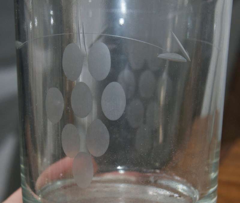 Set of 6 Grape Pattern Lowball Glasses
