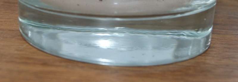 Set of 6 Grape Pattern Lowball Glasses