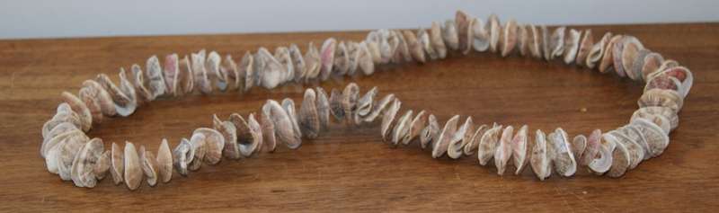 Shell Necklace
