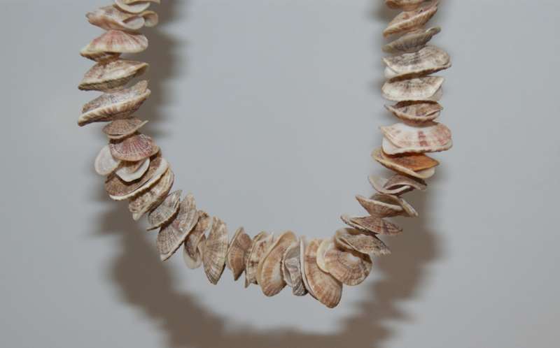 Shell Necklace