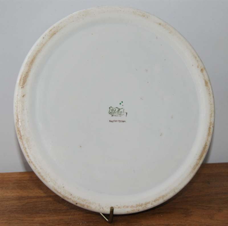 Shelley Kids Porridge Bowl