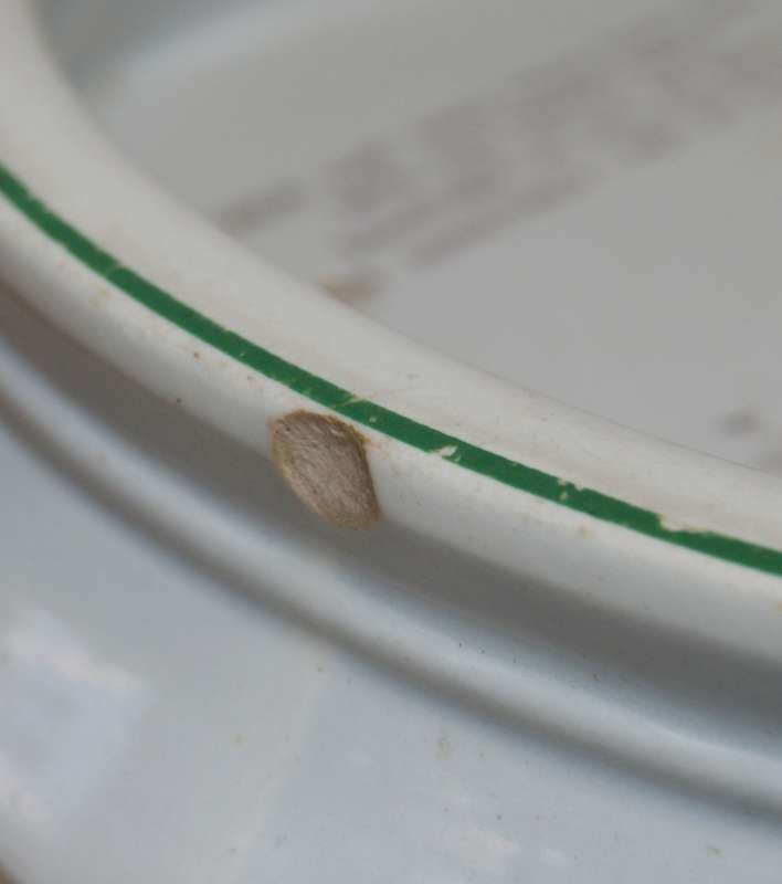 Shelley Kids Porridge Bowl