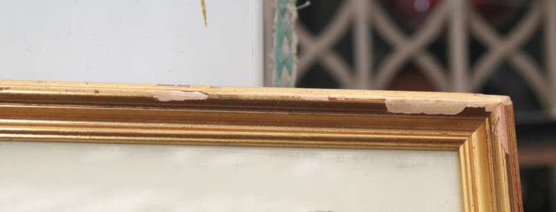 Framed Hand Painted Papyrus