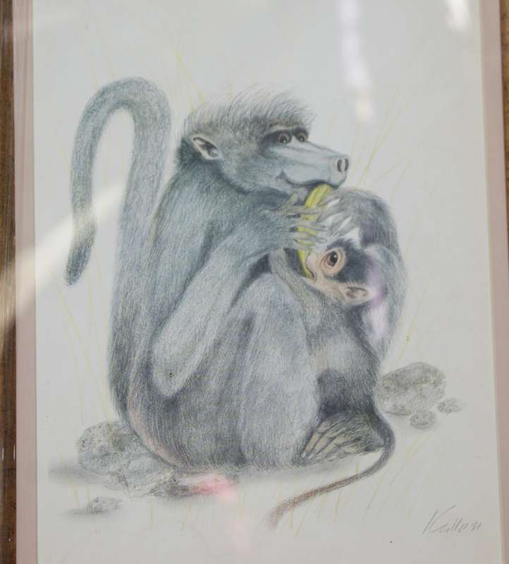 `Babies of the Bush` by Kalle Reimer 1936 - 2000 `Baboon` in Stunning NEW Frame Print