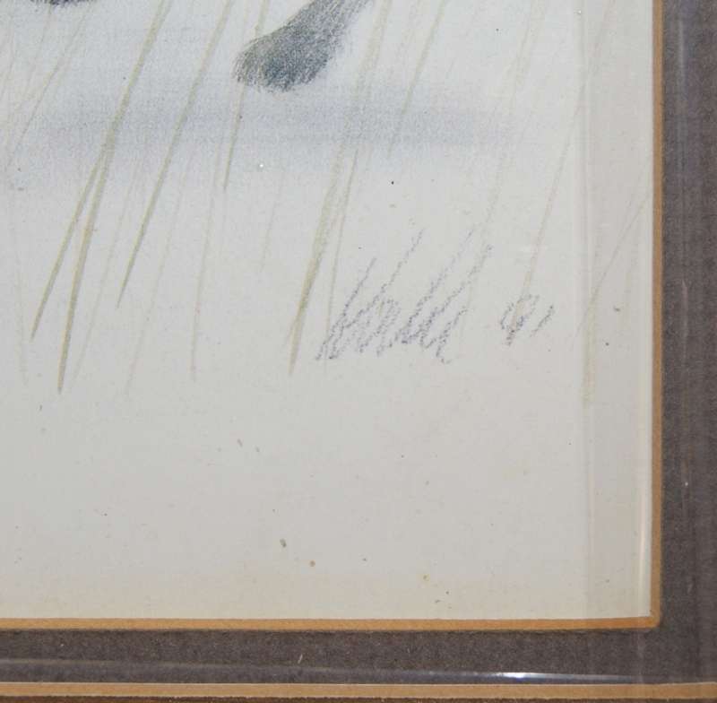 `Babies of the Bush` by Kalle Reimer 1936 - 2000 `Hyena` in Stunning NEW Frame Print