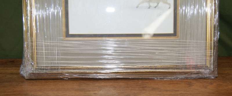 `Babies of the Bush` by Kalle Reimer 1936 - 2000 `Warthog` in Stunning NEW Frame Print