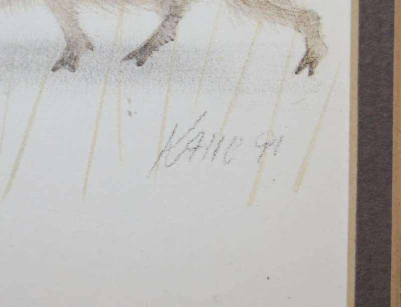 `Babies of the Bush` by Kalle Reimer 1936 - 2000 `Warthog` in Stunning NEW Frame Print