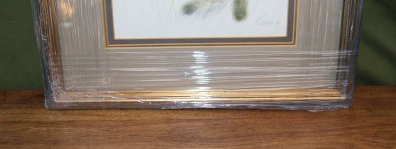 `Babies of the Bush` by Kalle Reimer 1936 - 2000 `Cheetah` in Stunning NEW Frame Print