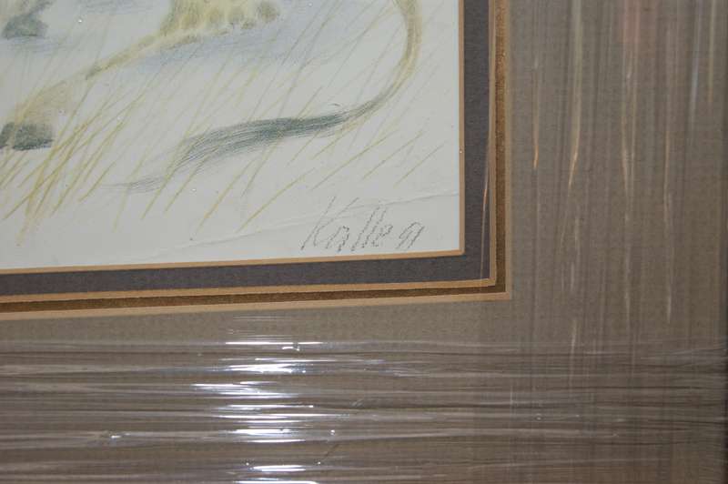 `Babies of the Bush` by Kalle Reimer 1936 - 2000 `Giraffe` in Stunning NEW Frame Print