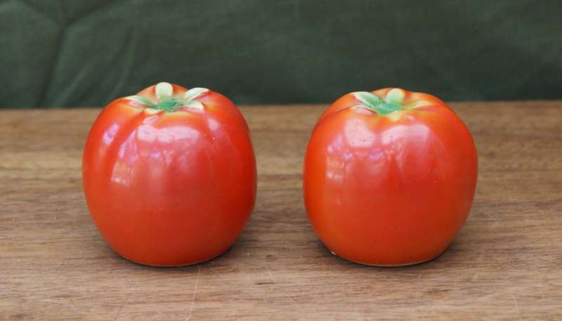 Rare Vintage Porcelain Tomato Salt and Pepper