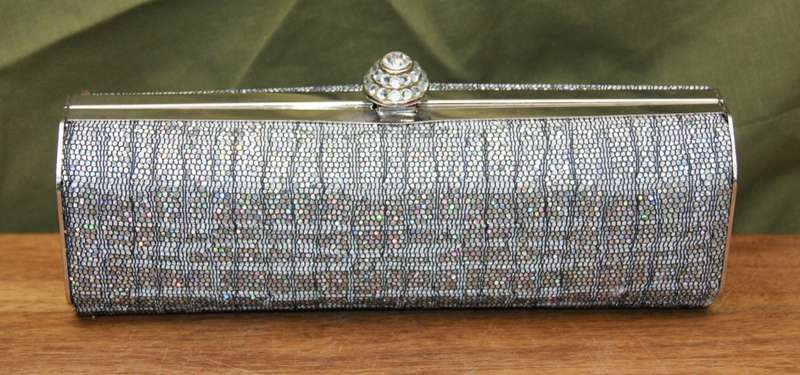 Shiny Evening/ Cocktail Bag