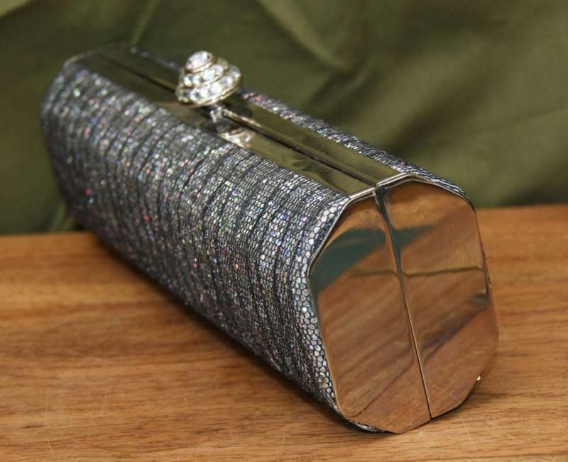 Shiny Evening/ Cocktail Bag