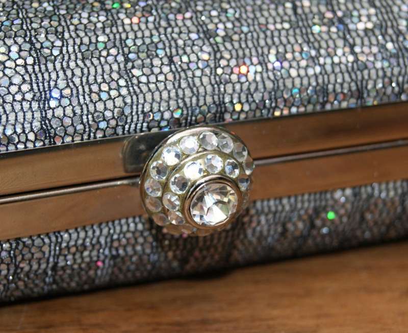 Shiny Evening/ Cocktail Bag