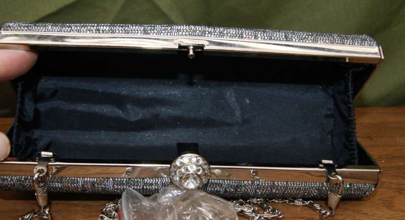 Shiny Evening/ Cocktail Bag