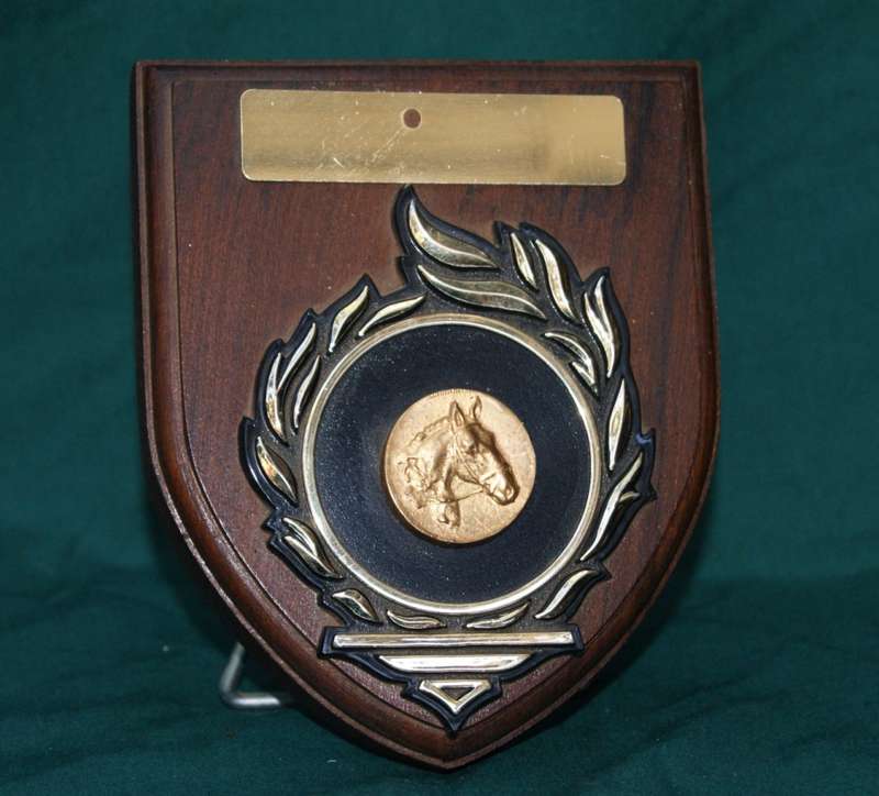 Blank Horse Riding Trophy