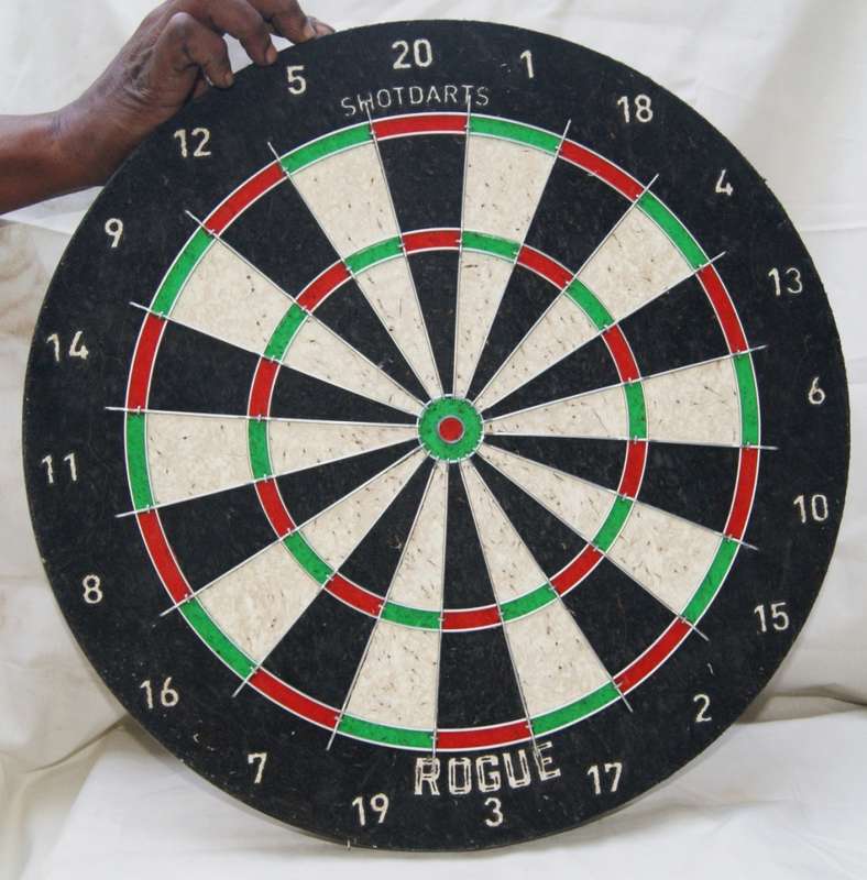 Rogue Bristle Dart Board (darts NOT included)