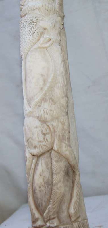 Antique Hand Carved Giraffe Bone African Scene